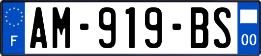 AM-919-BS