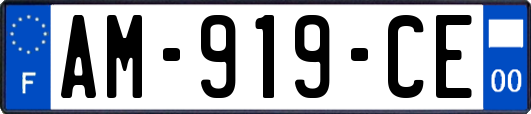 AM-919-CE