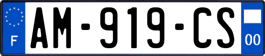 AM-919-CS