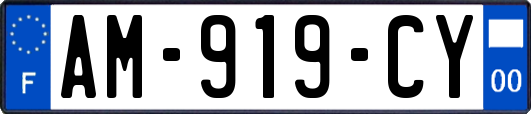 AM-919-CY