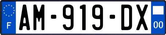 AM-919-DX