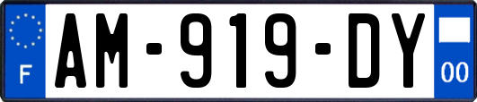 AM-919-DY
