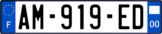 AM-919-ED