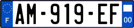 AM-919-EF