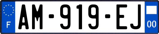 AM-919-EJ