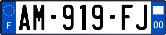 AM-919-FJ