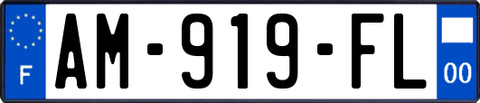 AM-919-FL