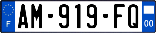 AM-919-FQ