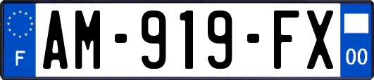 AM-919-FX