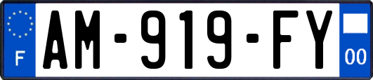 AM-919-FY