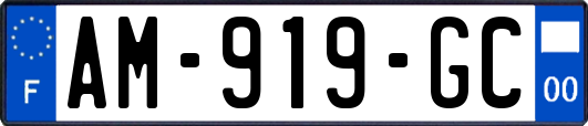 AM-919-GC