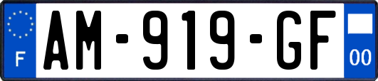AM-919-GF