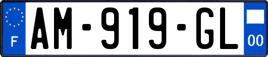 AM-919-GL