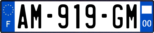 AM-919-GM