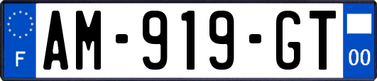 AM-919-GT