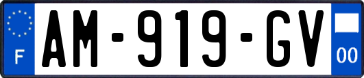 AM-919-GV