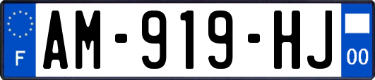 AM-919-HJ
