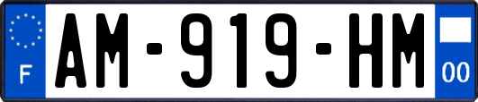 AM-919-HM