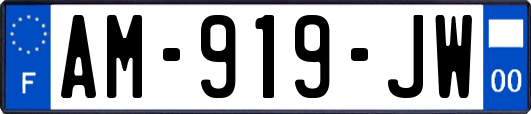 AM-919-JW