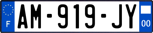 AM-919-JY
