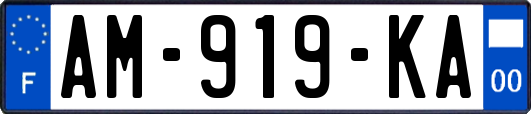 AM-919-KA