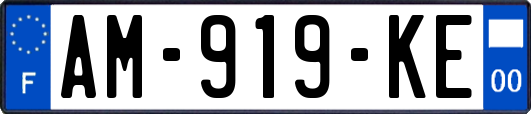 AM-919-KE