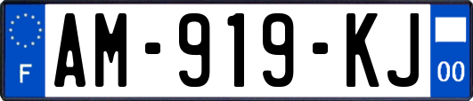 AM-919-KJ