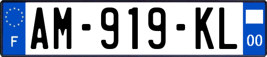 AM-919-KL
