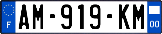 AM-919-KM