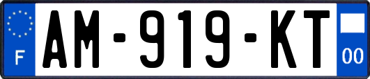 AM-919-KT