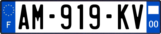 AM-919-KV
