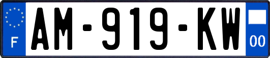 AM-919-KW