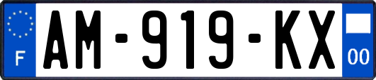 AM-919-KX