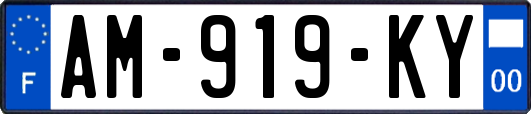 AM-919-KY