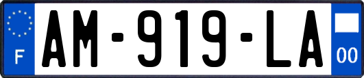 AM-919-LA