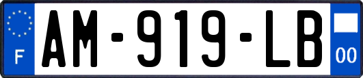 AM-919-LB