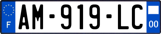 AM-919-LC