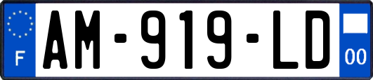 AM-919-LD