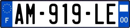 AM-919-LE