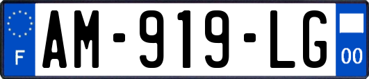 AM-919-LG