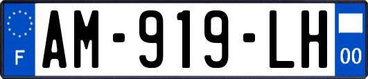 AM-919-LH