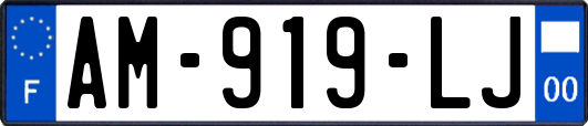 AM-919-LJ