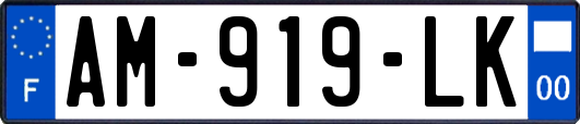 AM-919-LK