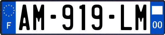 AM-919-LM