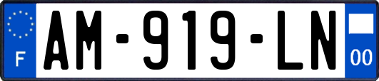 AM-919-LN