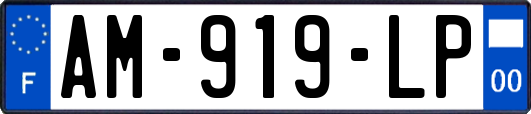 AM-919-LP