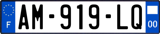 AM-919-LQ