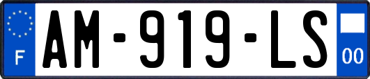 AM-919-LS