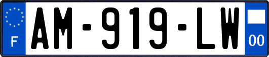 AM-919-LW