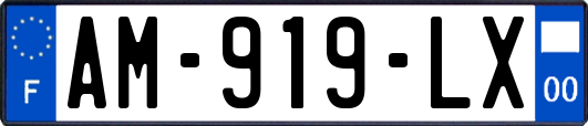 AM-919-LX